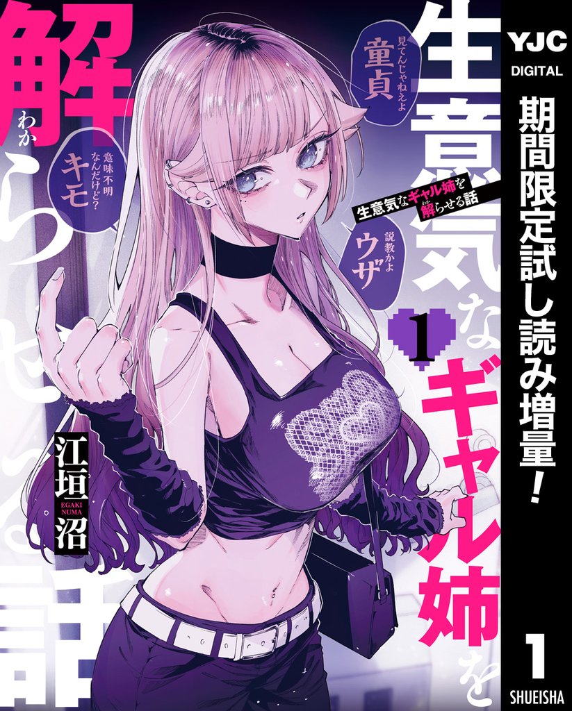 生意気なギャル姉を解らせる話