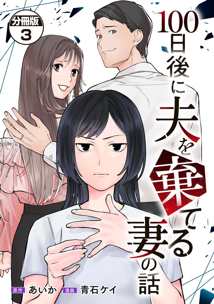 １００日後に夫を棄てる妻の話　分冊版（３）