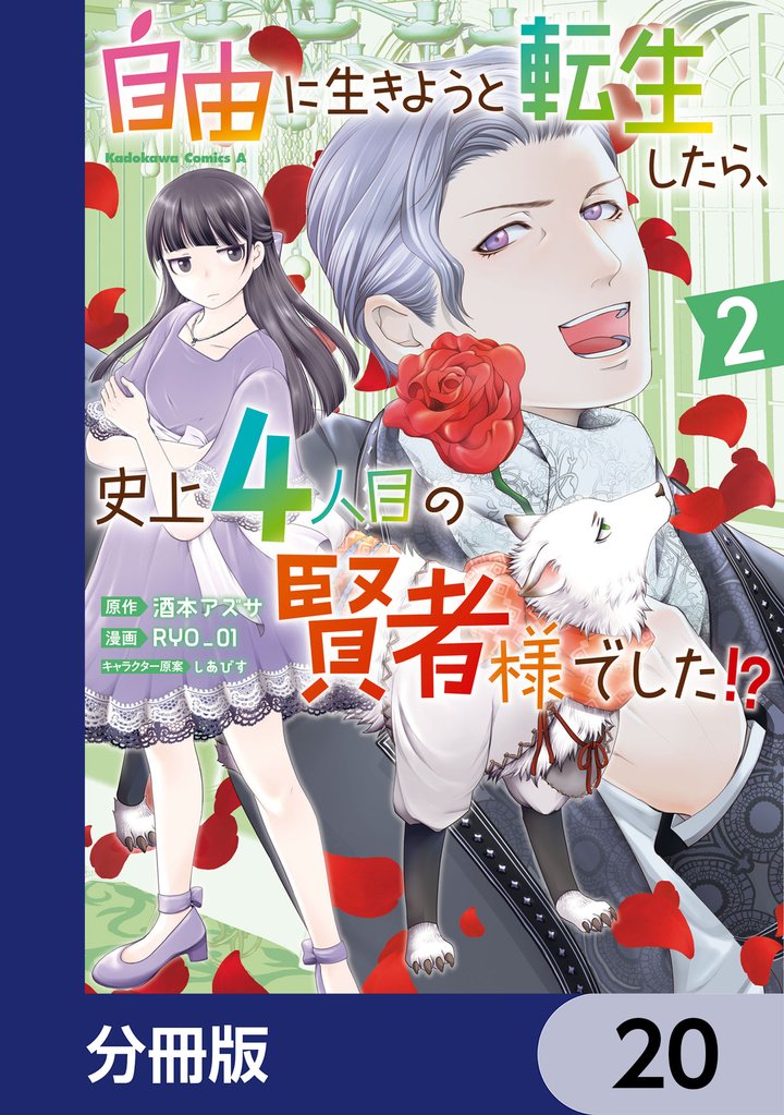 自由に生きようと転生したら、史上4人目の賢者様でした！？【分冊版】　20
