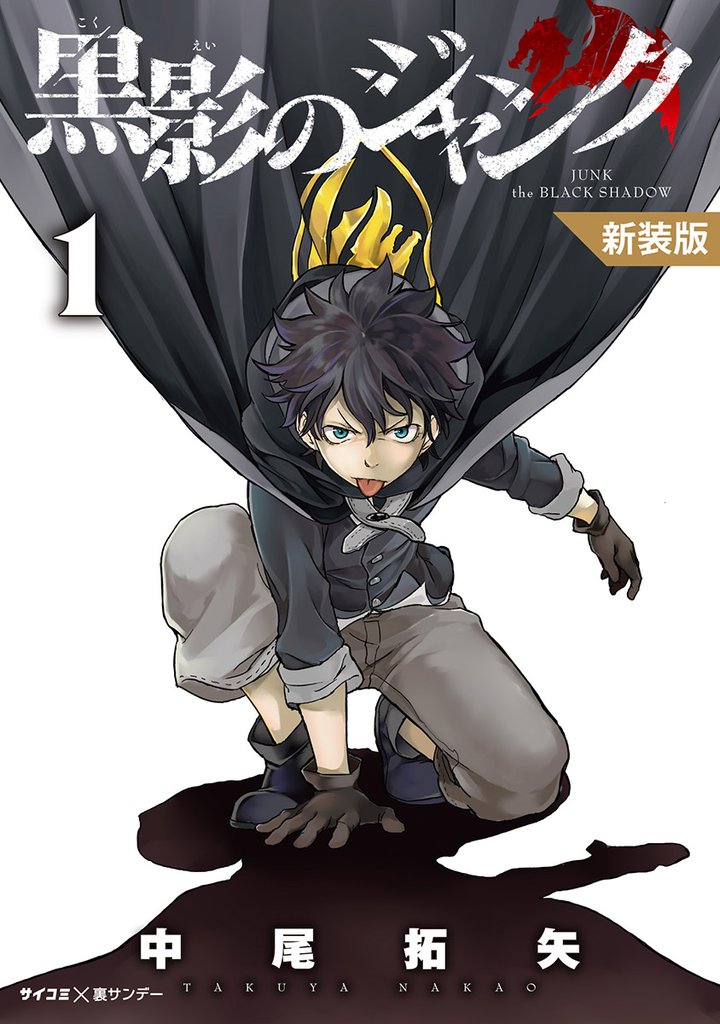 黒影のジャンク