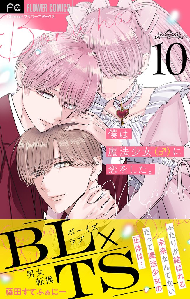 僕は魔法少女（♂）に恋をした。【マイクロ】（１０）