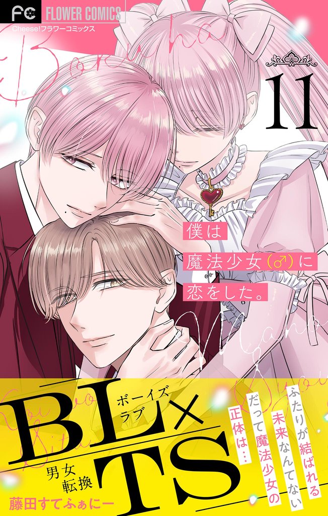 僕は魔法少女（♂）に恋をした。【マイクロ】（１１）
