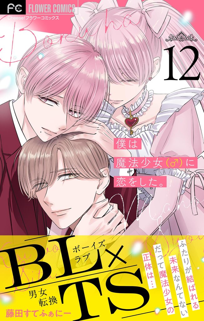 僕は魔法少女（♂）に恋をした。【マイクロ】 12 冊セット 全巻