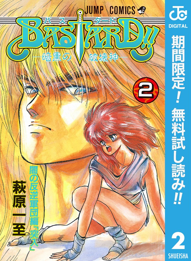 BASTARD!!【期間限定無料】 2