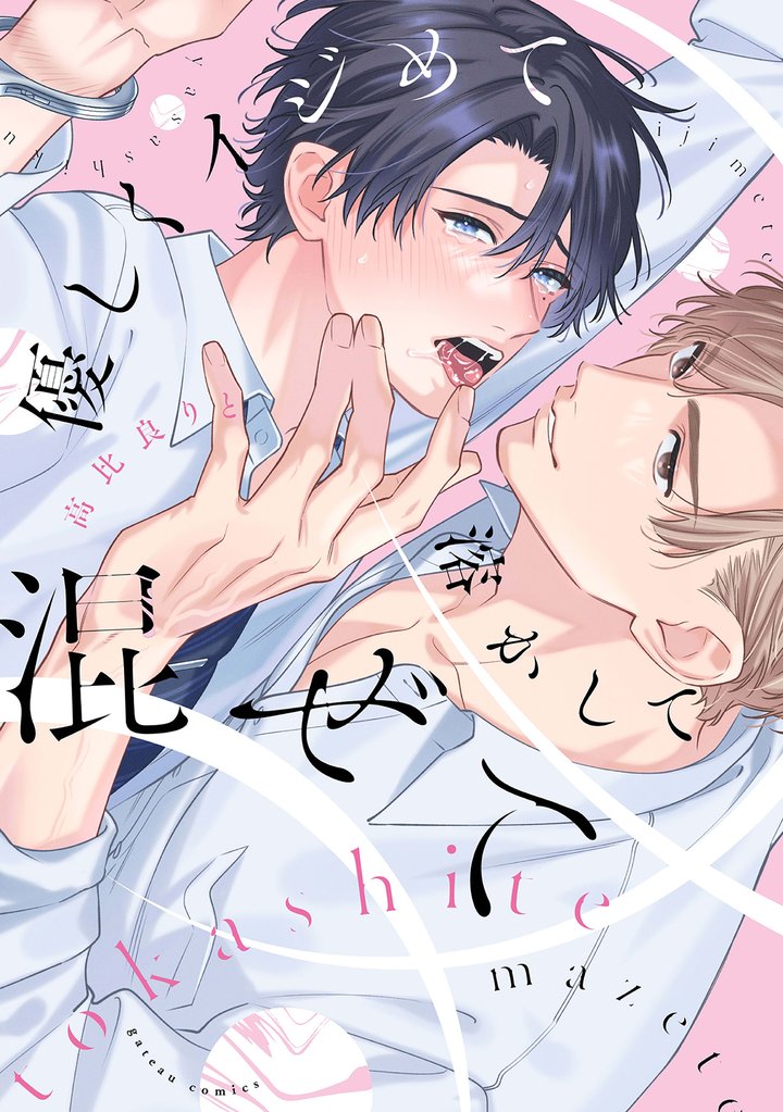 優しくイジめて溶かして混ぜて【特典ペーパー付き】