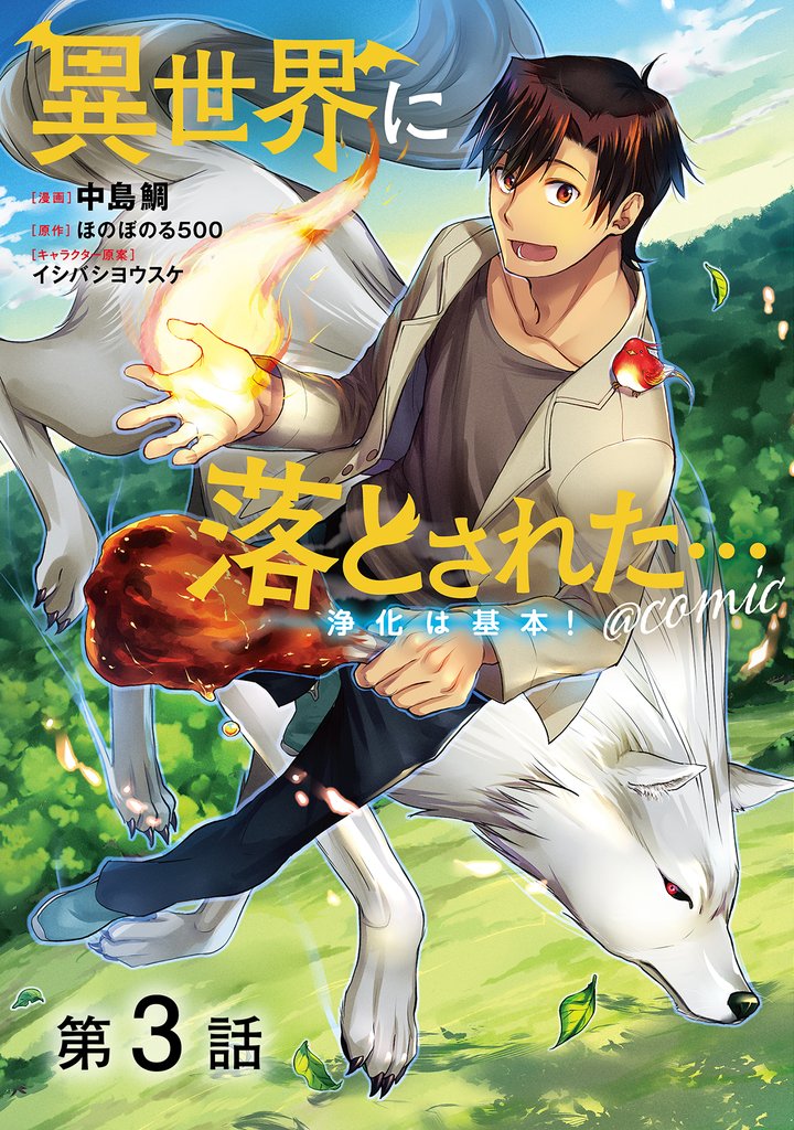 【期間限定 無料お試し版】【単話版】異世界に落とされた…浄化は基本!@COMIC 第3話