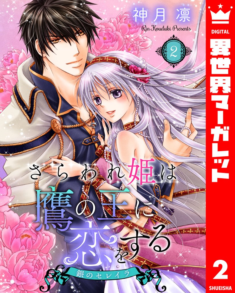 さらわれ姫は鷹の王に恋をする 銀のセレイラ 2