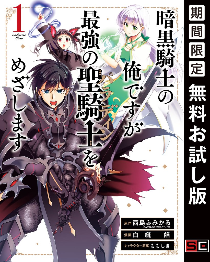 暗黒騎士の俺ですが最強の聖騎士をめざします