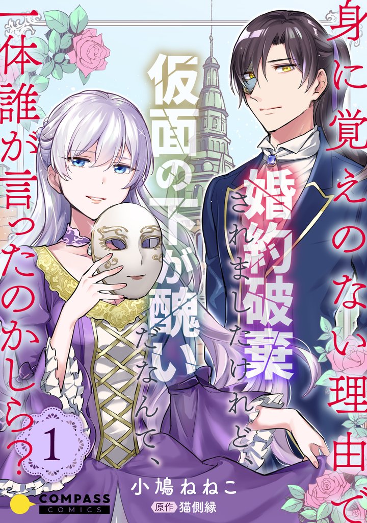 身に覚えのない理由で婚約破棄されましたけれど、仮面の下が醜いだなんて、一体誰が言ったのかしら?