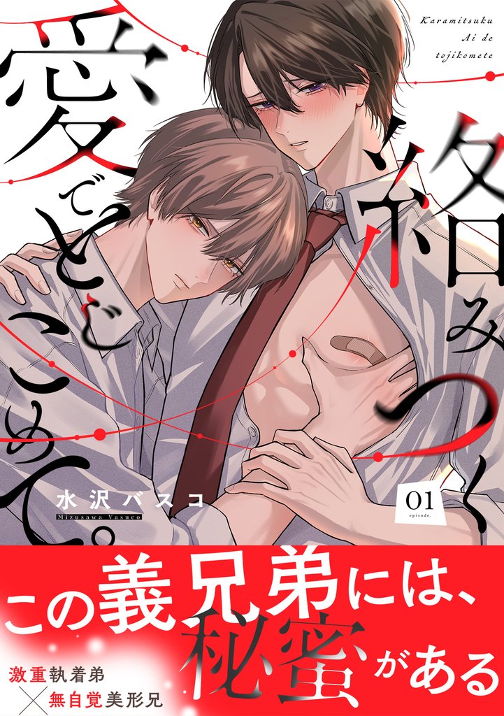 絡みつく愛でとじこめて。