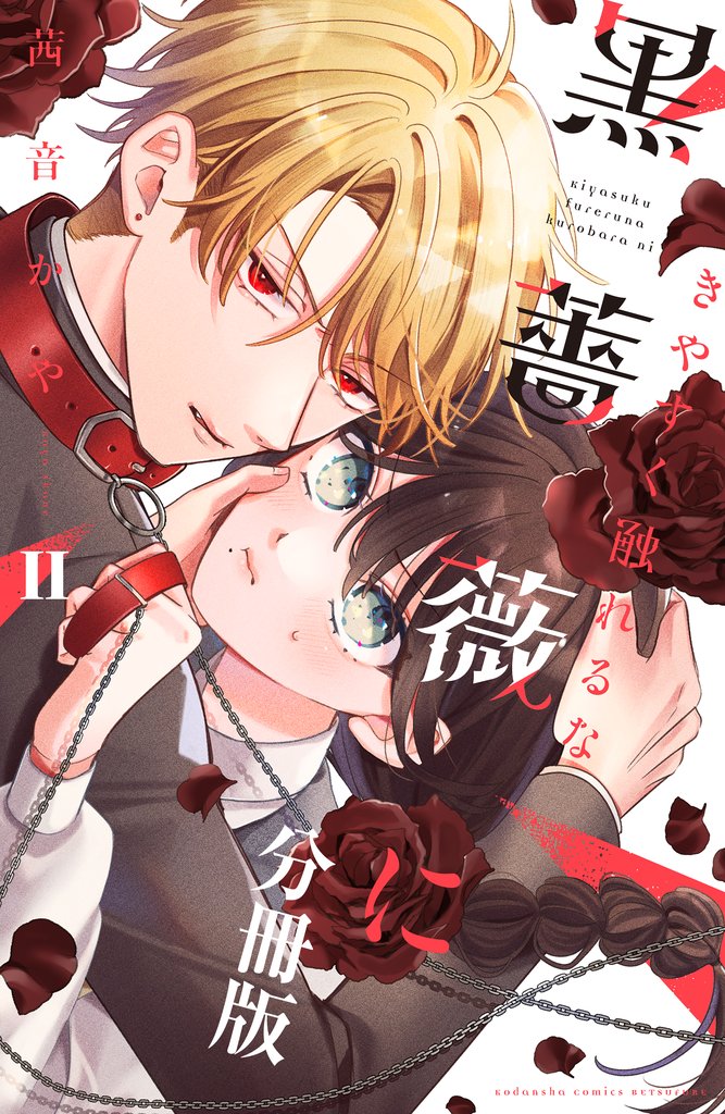 きやすく触れるな黒薔薇に　ベツフレプチ（２）