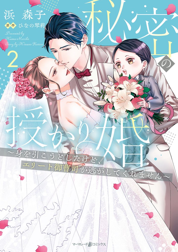 秘密の授かり婚～身を引こうとしたけど、エリート御曹司が逃がしてくれません～ 2 冊セット 全巻