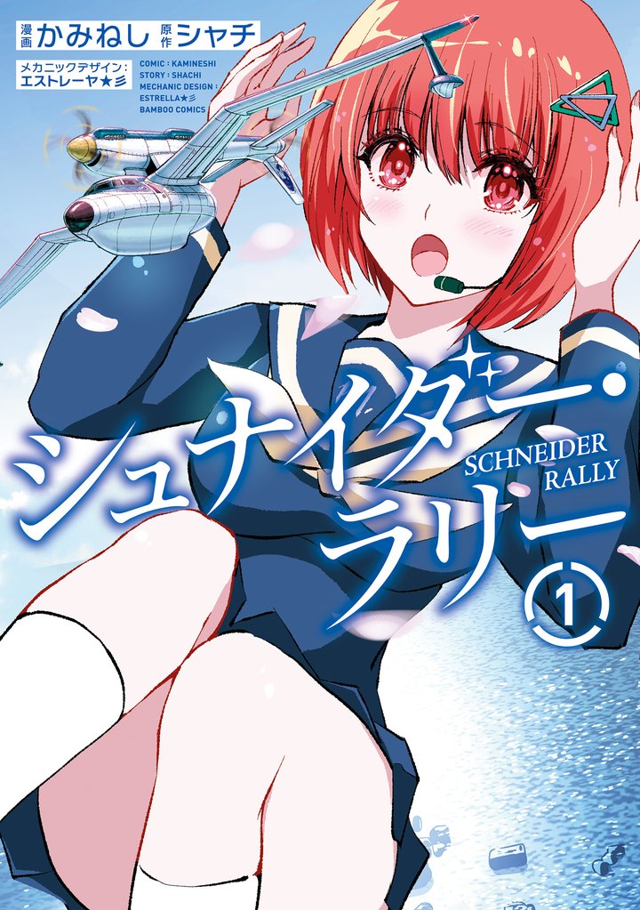 シュナイダー・ラリー (1)