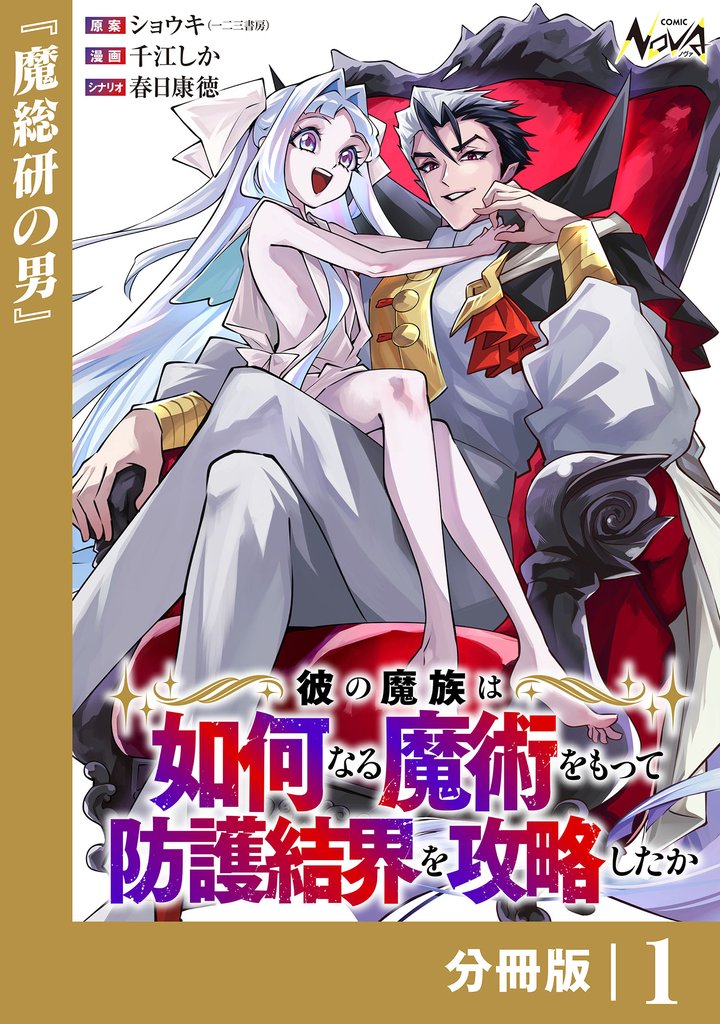 彼の魔族は如何なる魔術をもって防護結界を攻略したか1