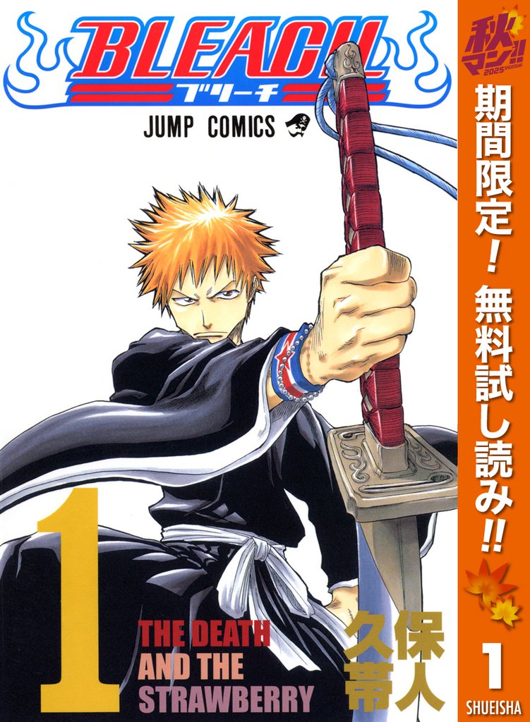 BLEACH モノクロ版【期間限定無料】 1
