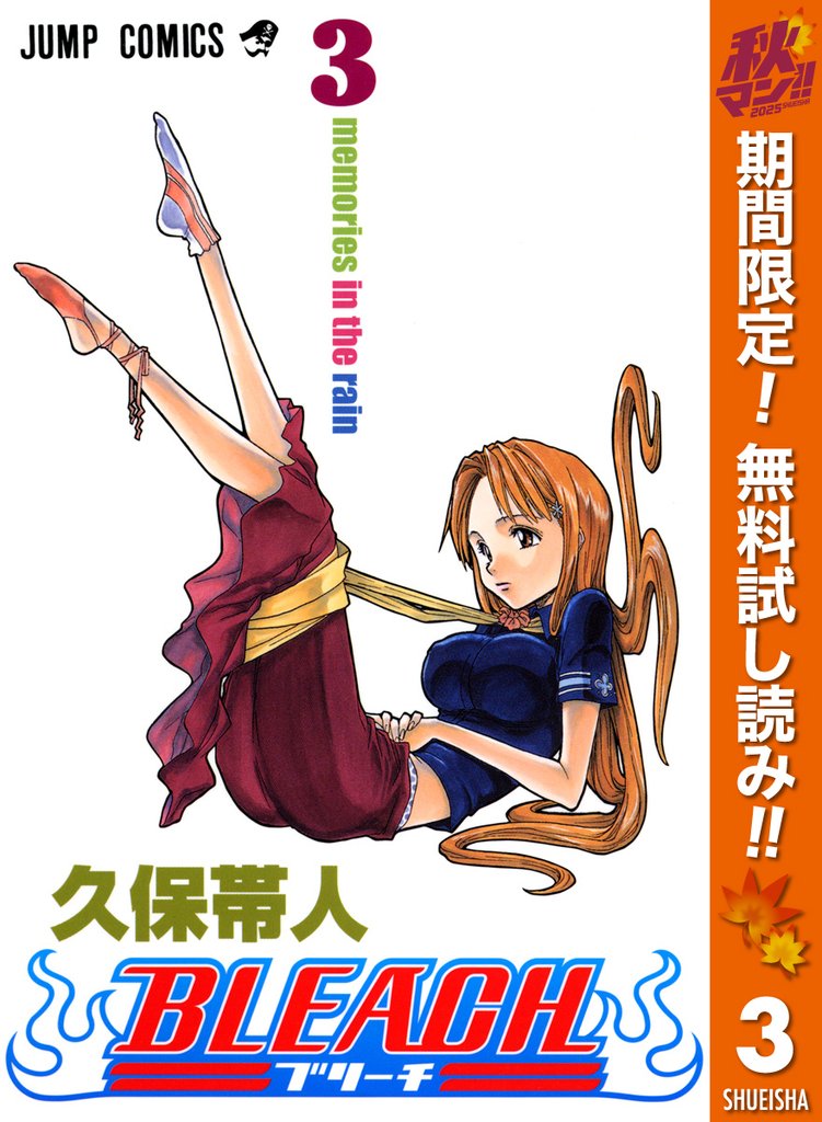 BLEACH カラー版【期間限定無料】 3