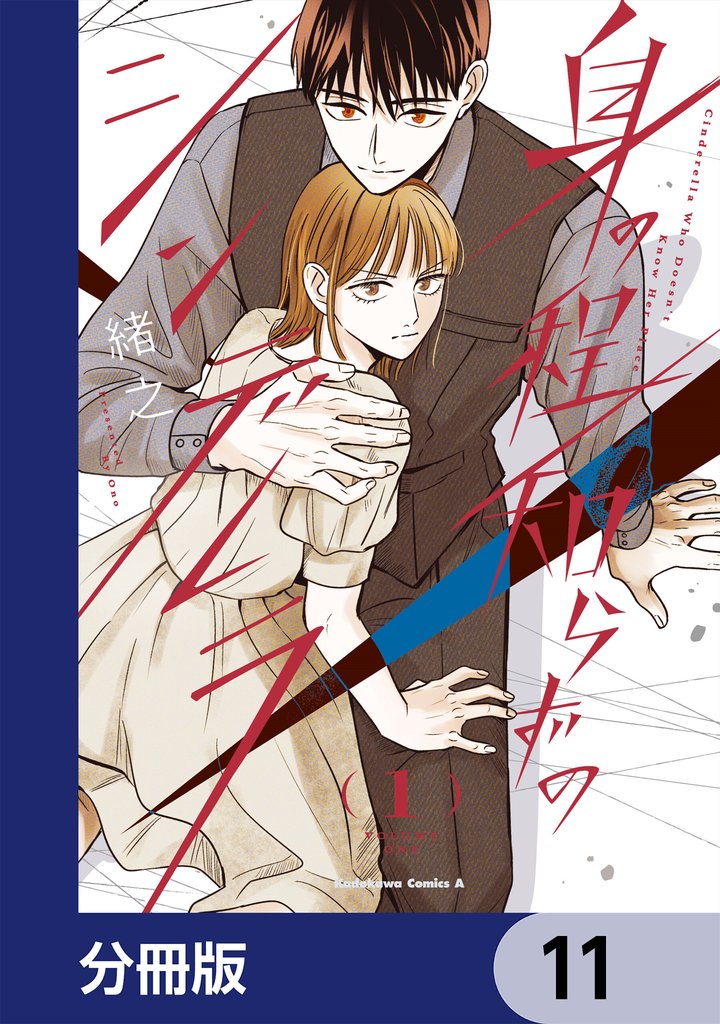 身の程知らずのシンデレラ【分冊版】　11