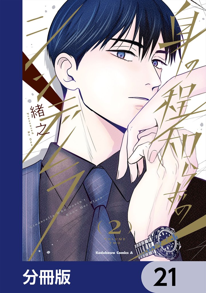 身の程知らずのシンデレラ【分冊版】　21