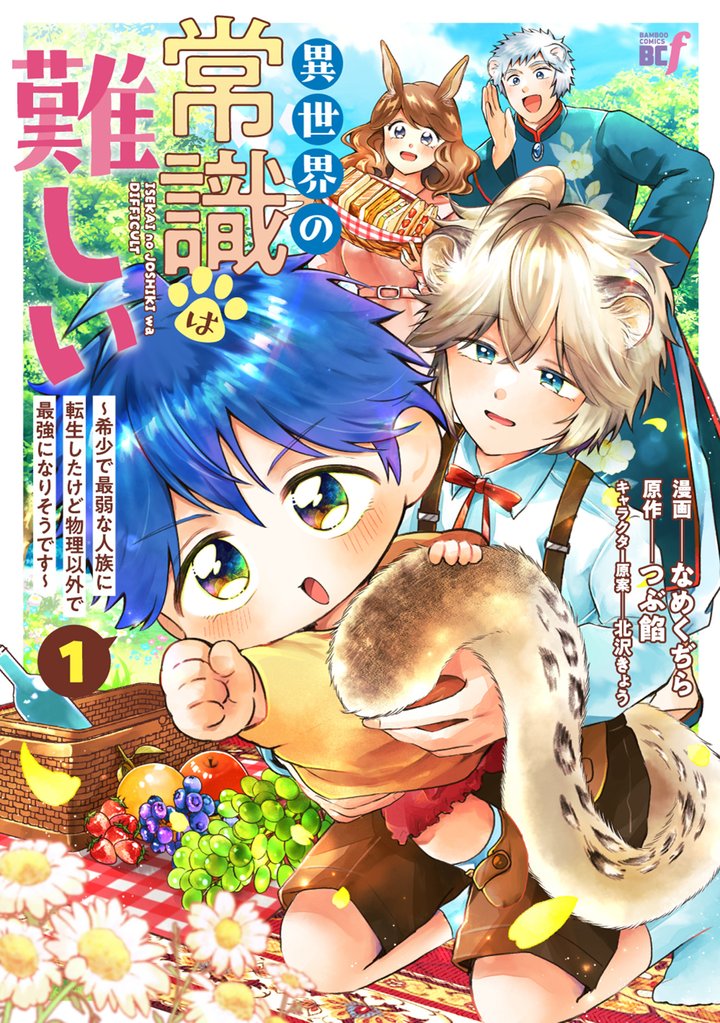 異世界の常識は難しい~希少で最弱な人族に転生したけど物理以外で最強になりそうです~