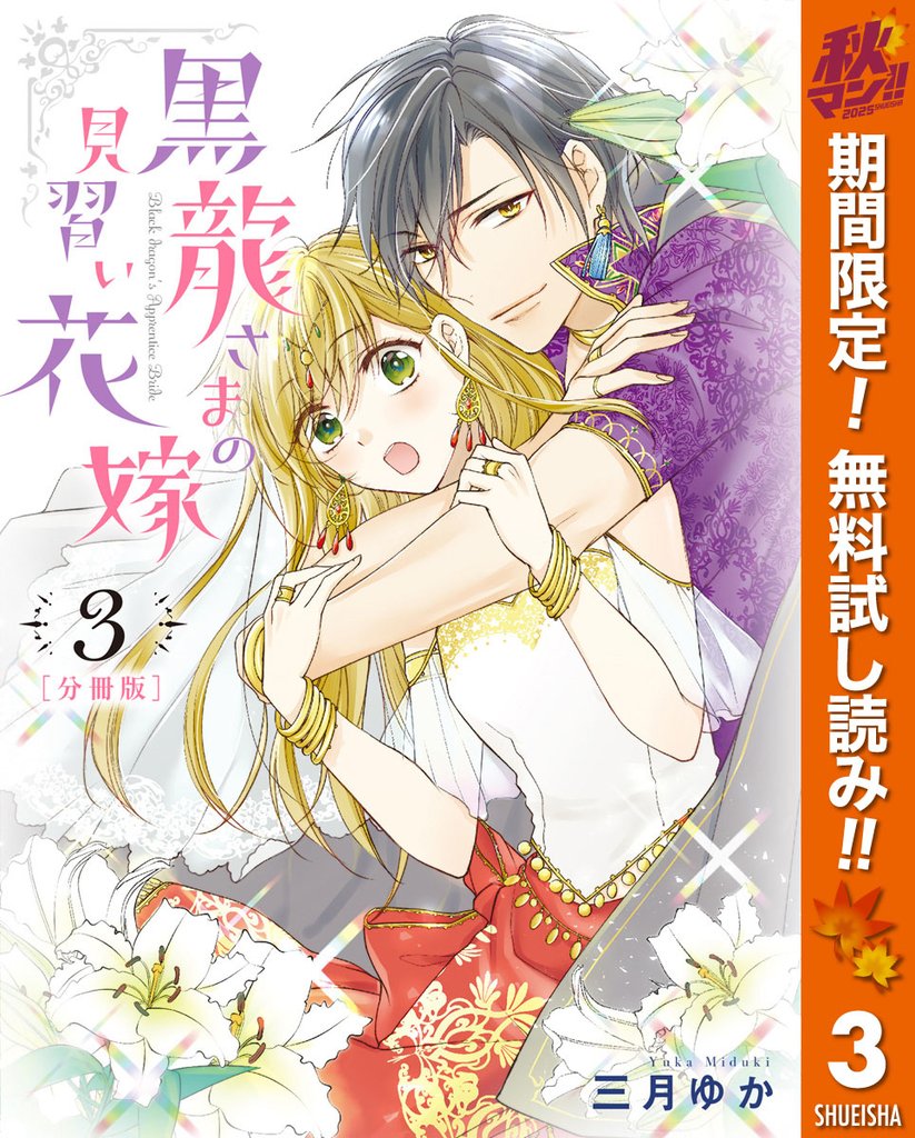【分冊版】黒龍さまの見習い花嫁【期間限定無料】 3