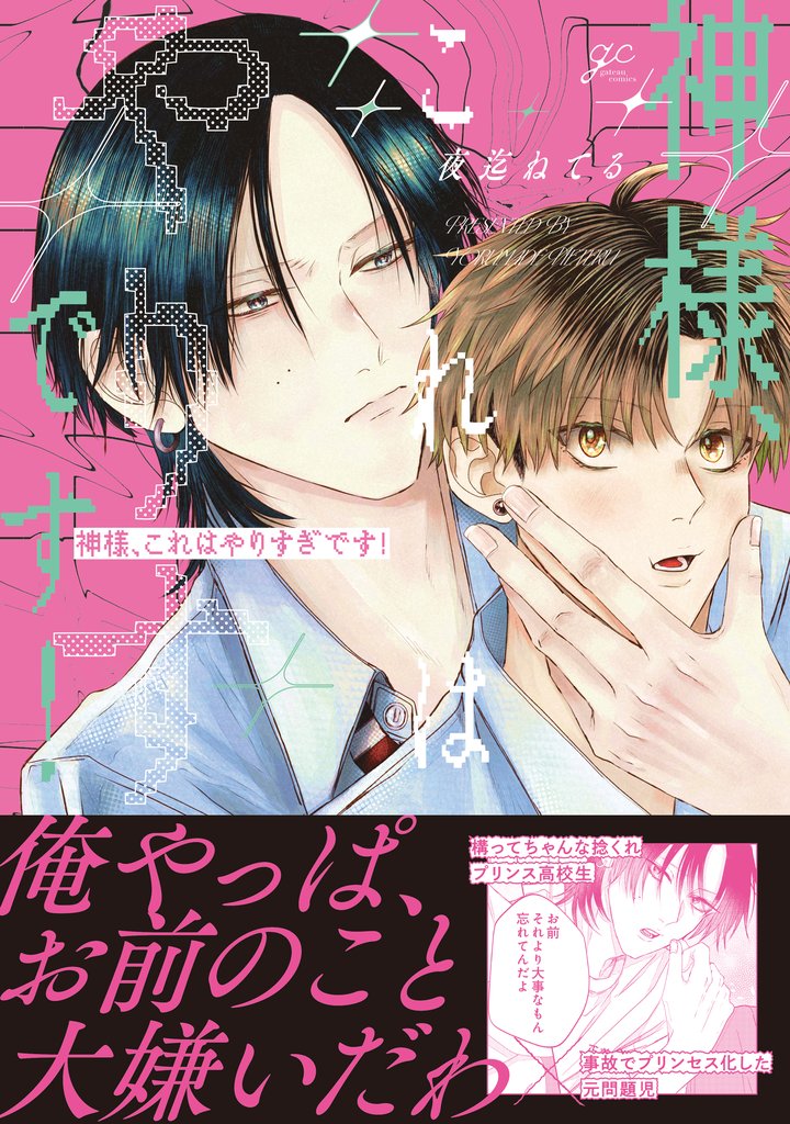 神様、これはやりすぎです!