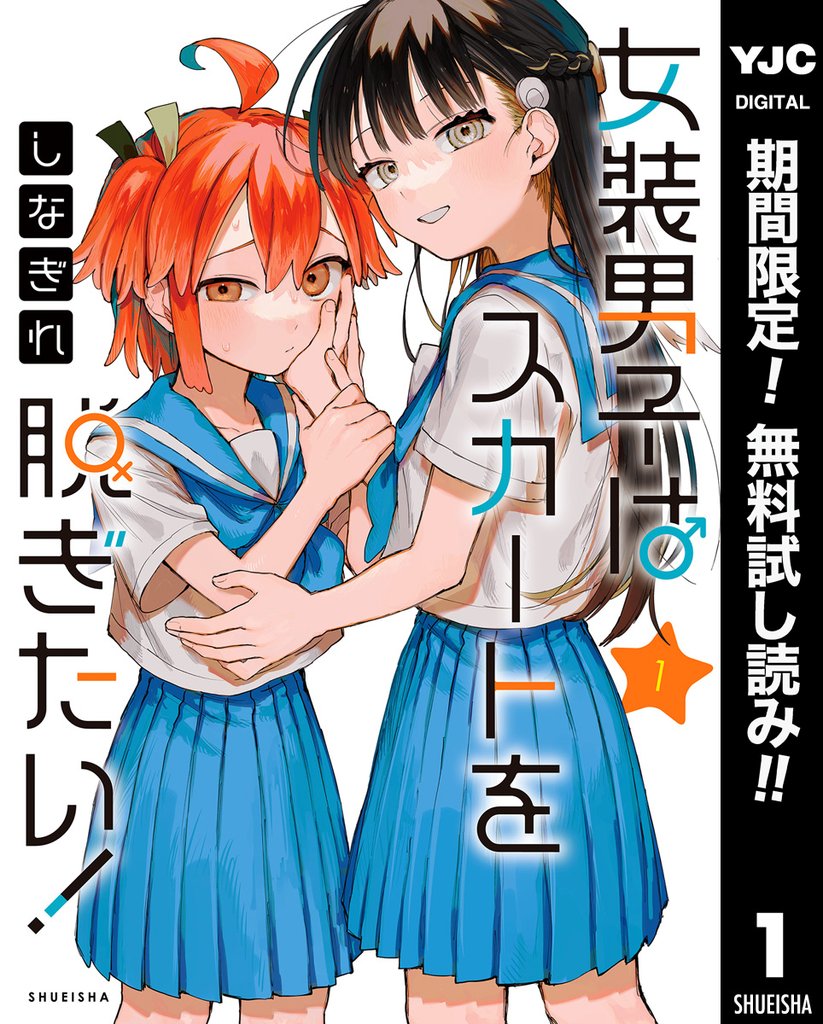 女装男子はスカートを脱ぎたい!