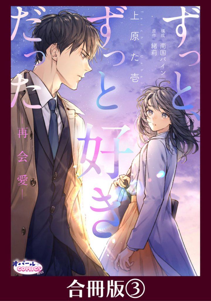 ずっと、ずっと好きだった―再会愛―【合冊版】 3 冊セット 最新刊まで