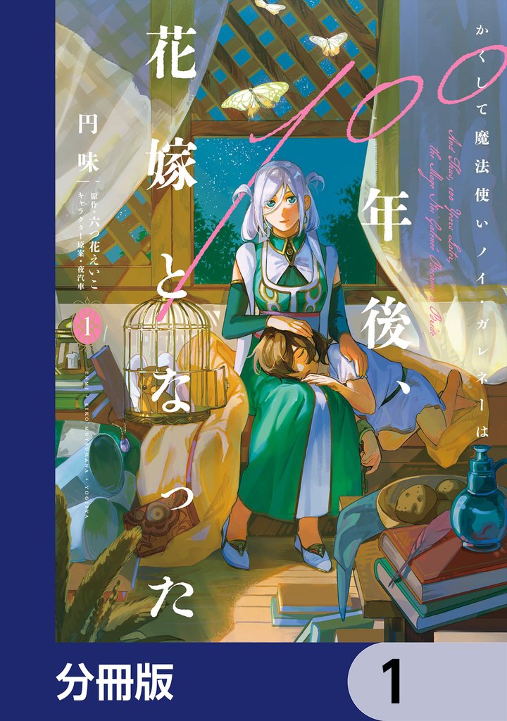 かくして魔法使いノイ・ガレネーは100年後、花嫁となった【分冊版】　1