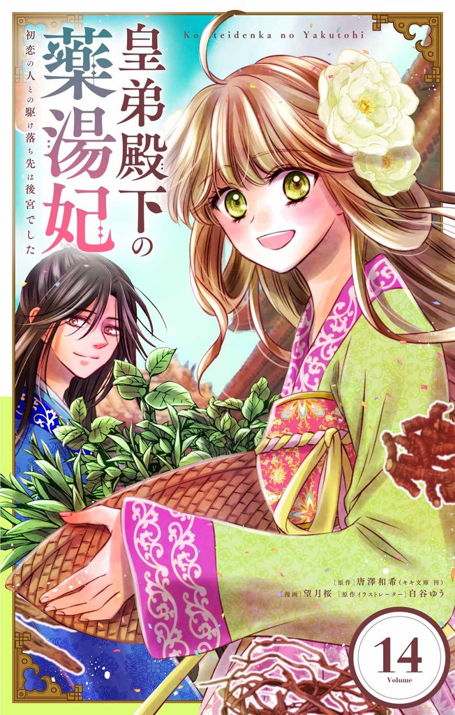 皇弟殿下の薬湯妃～初恋の人との駆け落ち先は後宮でした～【単話】（１４）