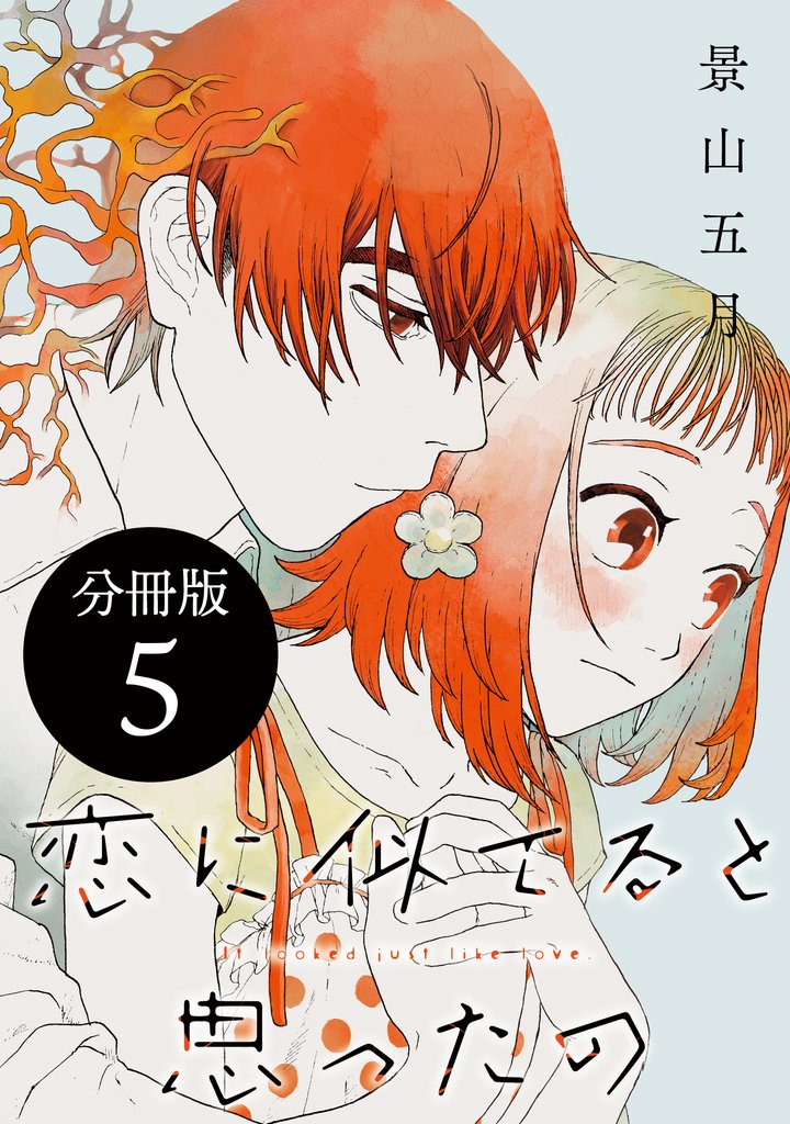 恋に似てると思ったの　分冊版（５）