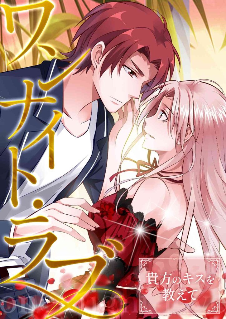 ワンナイト・ラブ～貴方のキスを教えて 14 冊セット 最新刊まで