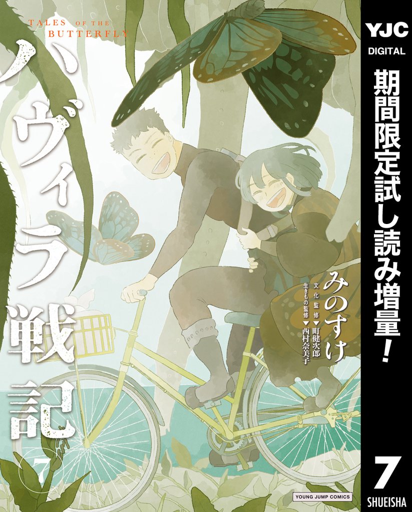 ハヴィラ戦記