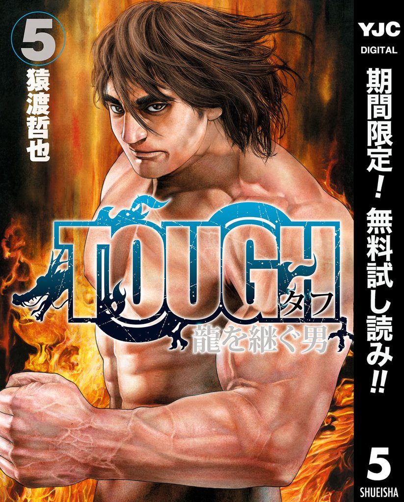TOUGH 龍を継ぐ男【期間限定無料】 5