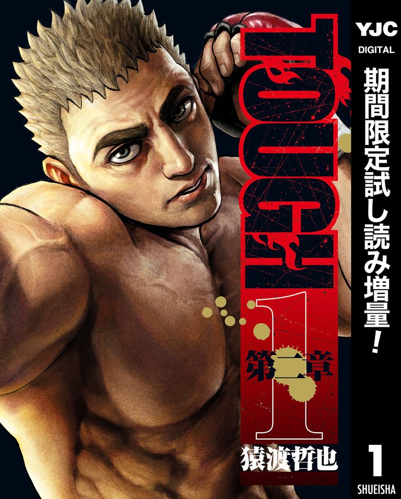 TOUGH 第二章