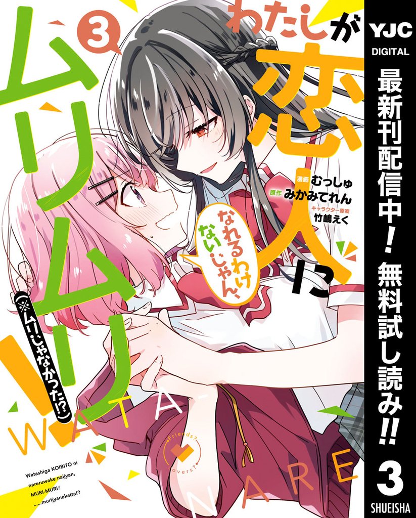 わたしが恋人になれるわけないじゃん、ムリムリ！（※ムリじゃなかった！？）【期間限定無料】 3