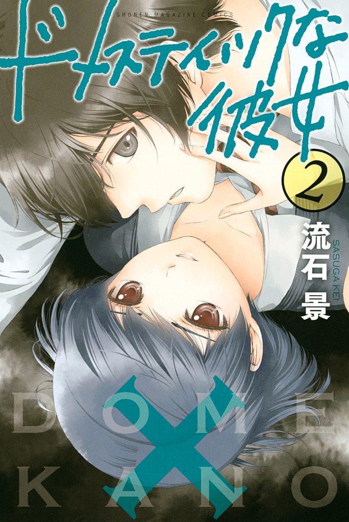 【期間限定 無料お試し版】ドメスティックな彼女(2)