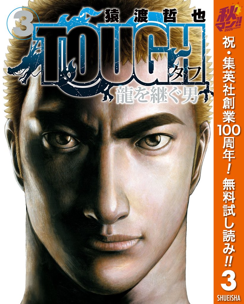 TOUGH 龍を継ぐ男【期間限定無料】 3