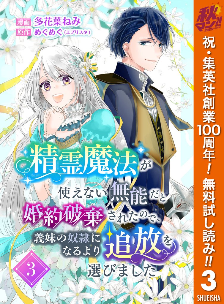 精霊魔法が使えない無能だと婚約破棄されたので、義妹の奴隷になるより追放を選びました【期間限定無料】 3